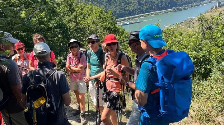 Aufstieg Rheinsteig bei herrlichem Wetter | © DAV Offenbach, Jeannette Peters Aufstieg Rheinsteig bei herrlichem Wetter | © DAV Offenbach, Jeannette Peters